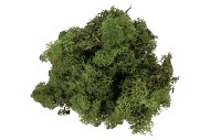MOS IJSLAND MOSGROEN PER 500 GRAM