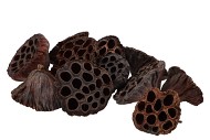 NATURE LOTUS ASSORTI NATUREL PAR 150 PIÈCES