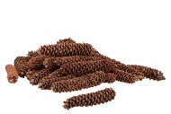 NATURE POMMES DE PIN NATUREL PAR 1 KG