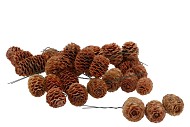 PICK LEUC SABULOSUM STRENG OP DRAAD PER 50 STUKS