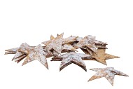 NATURE NOIX DE COCO ÉTOILE BLANC 10CM PAR 20 PIÈCES