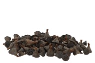 NATURE LOTUS MINI NATUREL PAR 200 PIÈCES