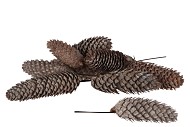 NATURE SPRUCE FIR STONEWASHED WHITE ON WIRE SET OF 35