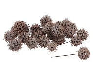 PICK AMBERBAUM WHITE ON A WIRE SET OF 100