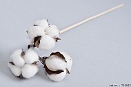 PICK KATOENBOLLEN 3-OP STOK L50CM