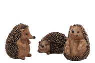 DECO HEDGEHODGE ASS P/1 12CM NM