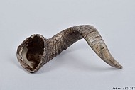 LA CORNE DE VACHE 24X10X14CM