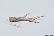 PENDENTIF BOIS DE CERF À SUSPENDRE BRUN 15X7X2CM