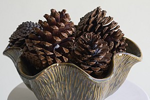 nordic winter 8566