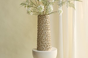 gold cozy 8462