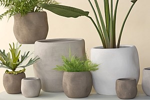 natural simplicity 7489