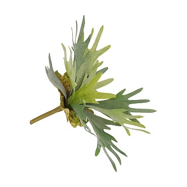 SILK FERN STAGHORN GREEN 36CM