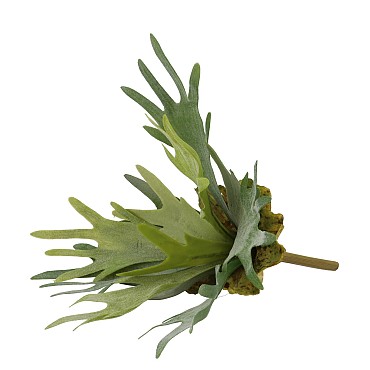SILK FERN STAGHORN GREEN 36CM