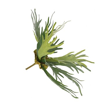 SILK FERN STAGHORN GREEN 51CM