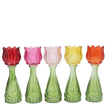 BICOLORE MULTI COLOR MIX TULIP VASE ASS 7X18CM