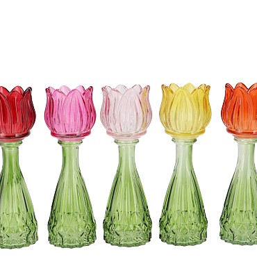 BICOLORE MULTI COLOR MIX TULIP VASE ASS 7X22CM