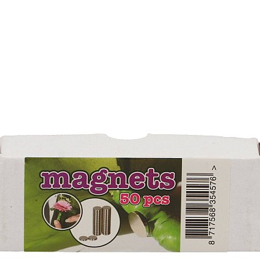 FLORISTRY CORSAGE MAGNET P/50