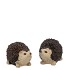 HEDGEHOG POLY SMALL ASS P/1 6X4X4CM NM