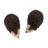 HEDGEHOG POLY SMALL ASS P/1 6X4X4CM NM
