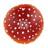 MUSHROOM RED 15X15X16CM