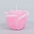 ROOSKAARS ROZE 8X7CM