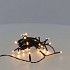 LED LIGHT CHAIN OUTSIDE 40LED WARM WHITE