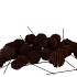 PICK NATURE PLUG MURRI BROWN P/100