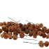 PICK NATURE SALIGNUM STRING 5DLG P/50