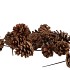 PICK NATURE PLUG AUSTRIANS P/200