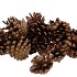 NATURE SILVESTER NATUREL BAG 1KG