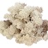 MOSS ICELAND NATUREL 500GR