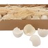 EI KIPPEN SCHALEN WIT P/60