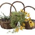 RATTAN BASKET HANDLE 3PCS 45X18CM NM