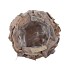 NATURE DRIFTWOOD POT WHITE 20X14CM