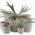 CONCRETE POT ROUND GREY 8X7CM