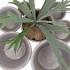CONCRETE POT ROUND GREY 14X12CM