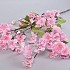 PRUNUSTAK ROZE 129CM NM