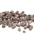 NATUUR DENNENAPPEL MINI WIT 2-3CM P/ZAK