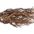NATURE CURRY BUSH NATURRL P/500 GRAM