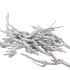 NATURE CURRY BUSH WHITE P/500 GRAM