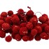 DRY PLATANE ROOD PER BUNDEL