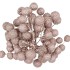 DRY PLATANE CHAMPAGNE P/BUNDEL