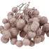 DRY PLATANE CHAMPAGNE PER BUNDEL