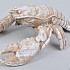 DECO KREEFT NATUREL 25X19X11CM