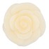 CANDLE ROOS IVORY 14X12CM NM