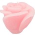 CANDLE ROOS WHITE PINK 14X12CM