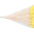 EASTER STICK KIEVITEI+VEREN GEEL O/STK 6X4+55CM P/25