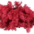 MOS ICELAND ROOD CRIMSON 500 GRAM