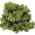 MOS ICELAND LEGERGROEN 500 GRAM