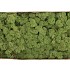 MOS ICELAND LEGERGROEN 500 GRAM